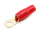 Ring-Kabelschuhe vergoldet für 10mm² M8  (rot)