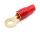 1x Ring-Kabelschuh vergoldet für 16mm² M6  (rot)