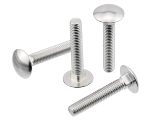 1x Flachrundschraube M10 x 30  (DIN 603 - A2, Vollgewinde)