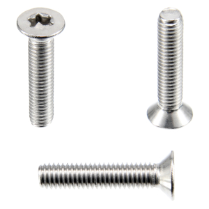 1x Senkkopfschraube M2x14  (ISO 14581 - TX, A2)