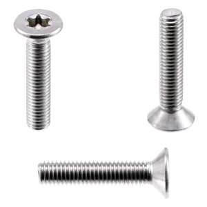 1x Senkkopfschraube M5x18  (ISO 14581 - Torx TX, A2)