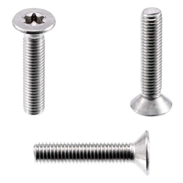 1x Senkkopfschraube M8x100 (ISO 14581 - Torx TX, A2)