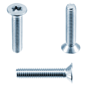 1x Senkkopfschraube M6x40  (ISO 14581 - TX - 8.8, VZ)